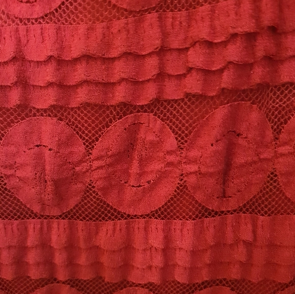 Sophie Max Lace Dress - Picture 8 of 9